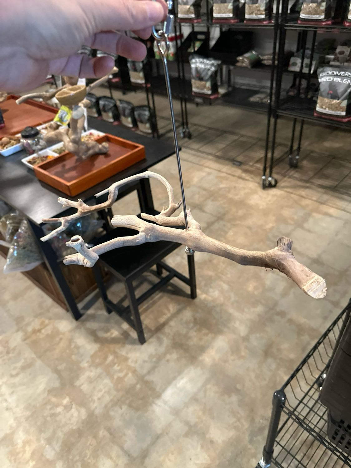 Swinging Sway Foraging Perch (Medium)