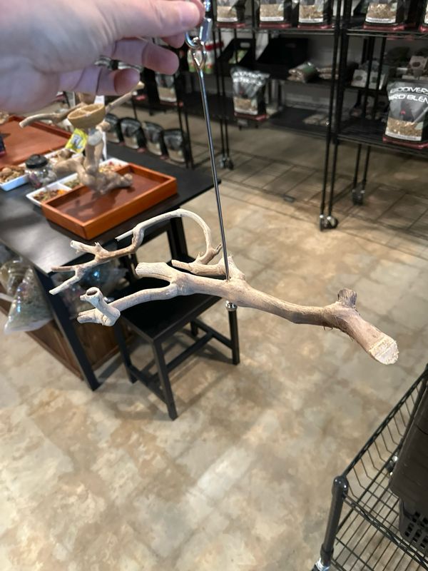 Swinging Sway Foraging Perch (Medium)