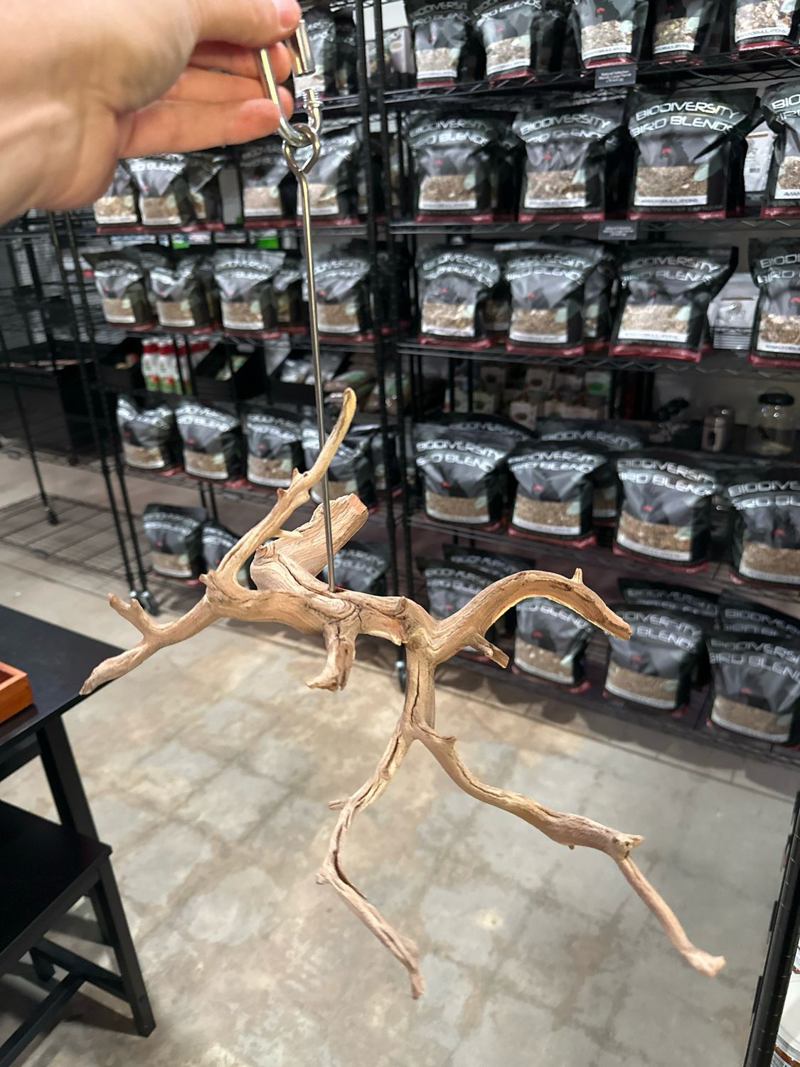 Swinging Sway Foraging Perch (Medium)