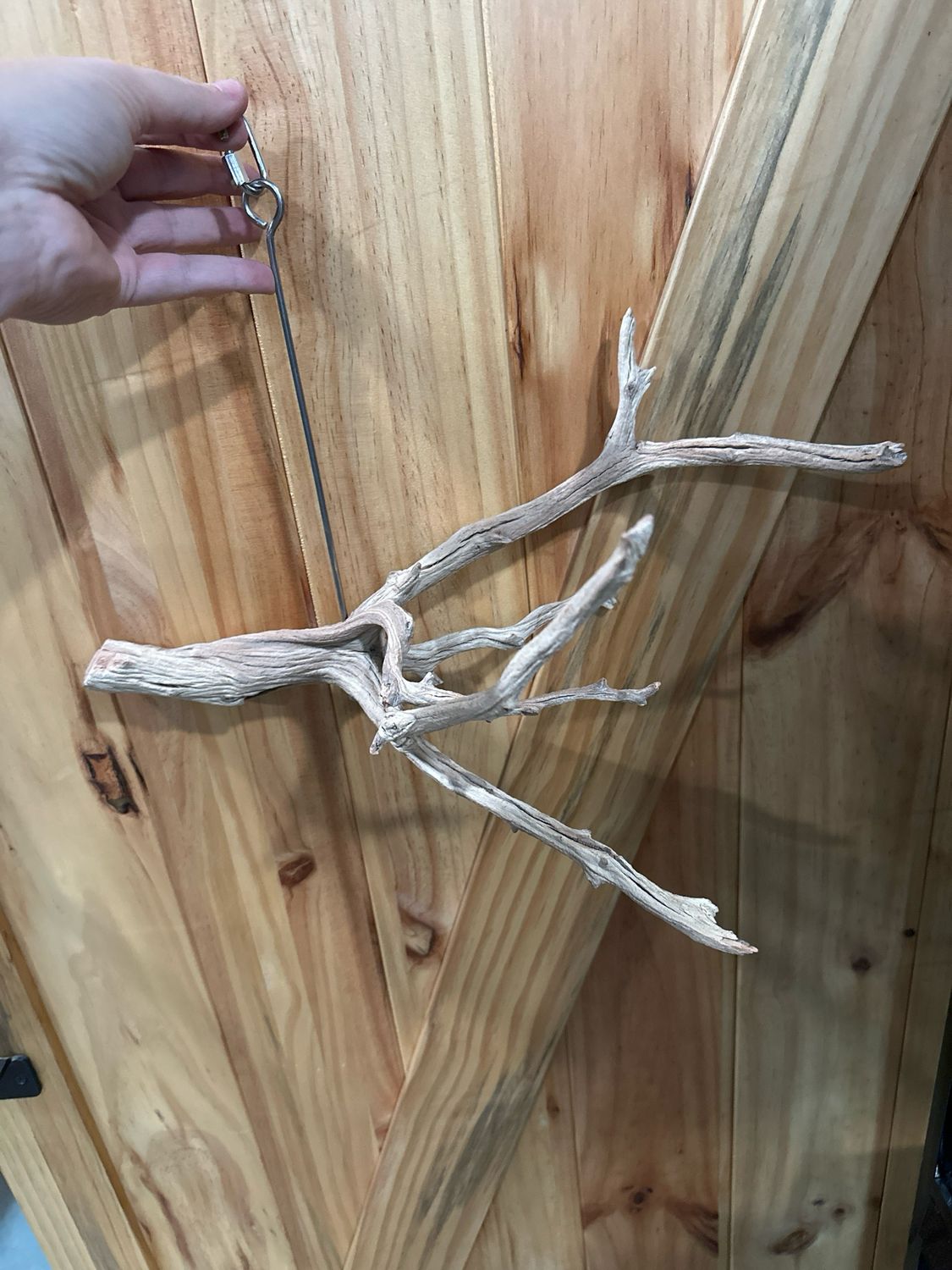Swinging Sway Foraging Perch (Medium)