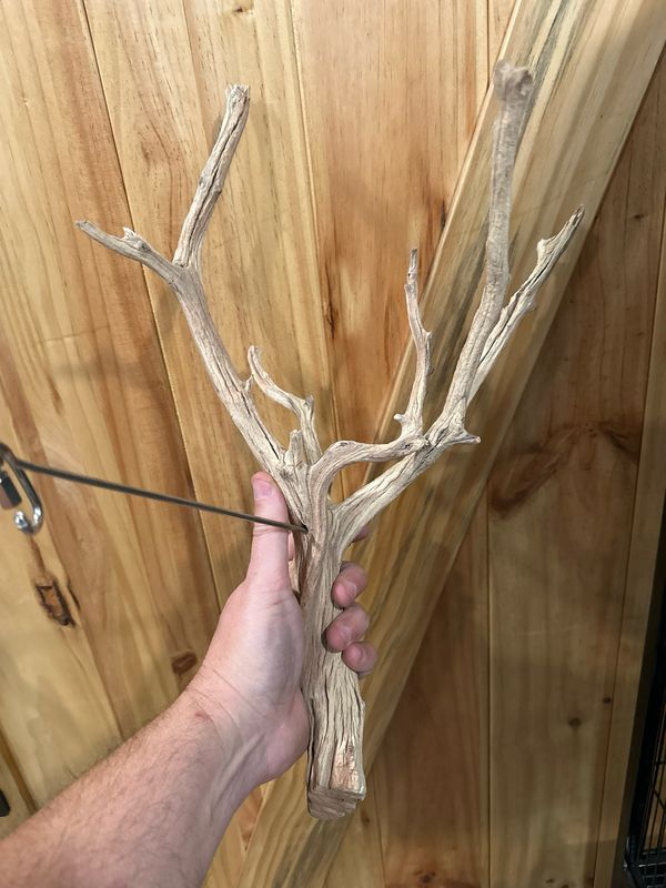 Swinging Sway Foraging Perch (Medium)