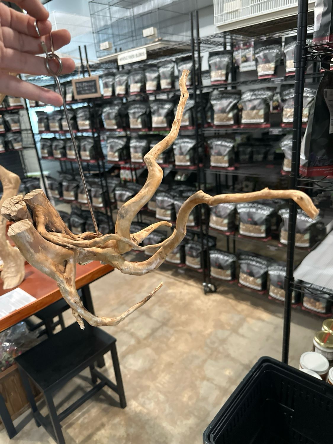 Swinging Sway Foraging Perch (Large)