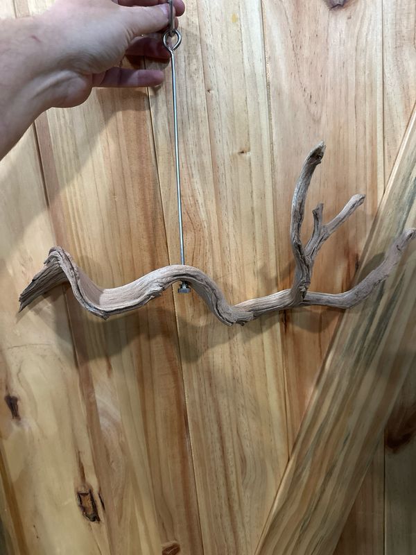 Swinging Sway Foraging Perch (Medium)