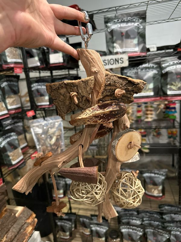 Go Wild! Foraging Limb