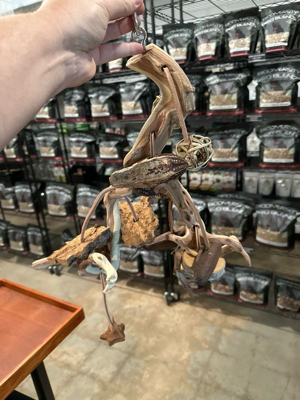 Go Wild! Foraging Limb