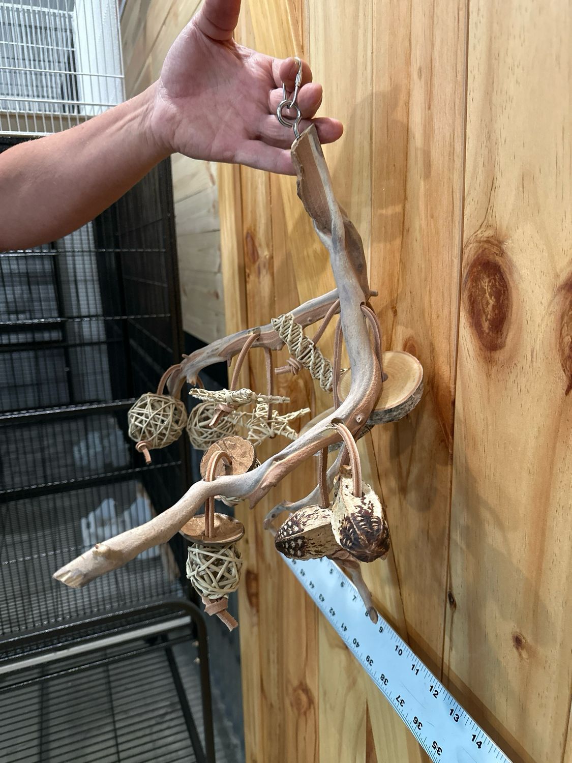 Go Wild! Foraging Limb