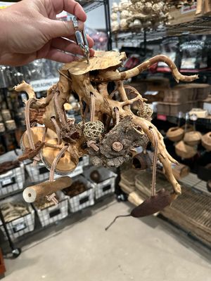 Go Wild! Foraging Limb