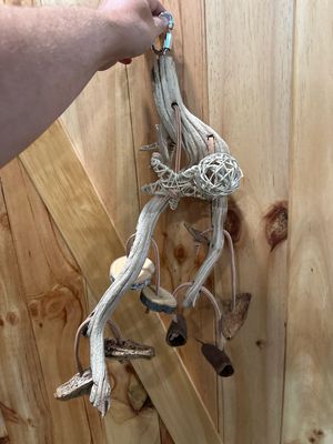 Go Wild! Foraging Limb
