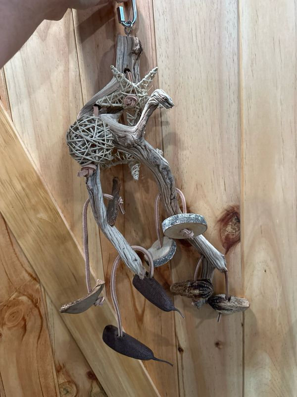Go Wild! Foraging Limb