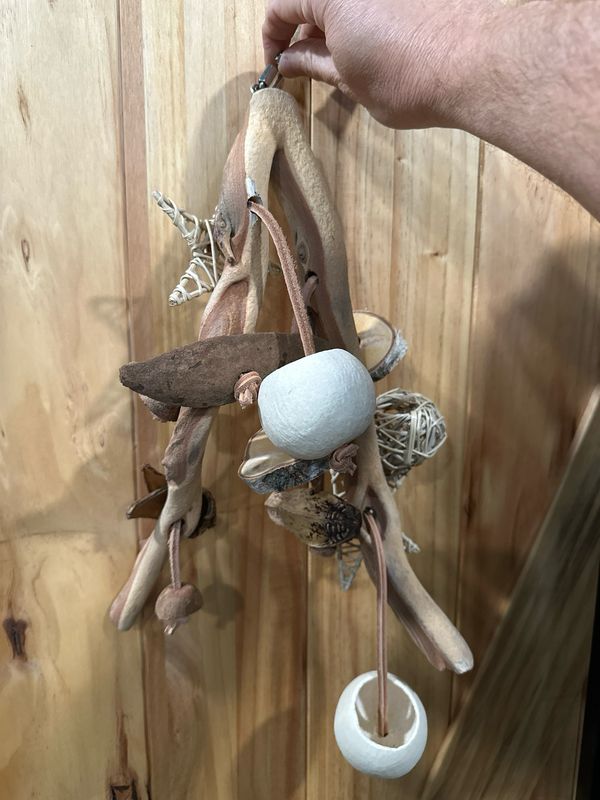 Go Wild! Foraging Limb