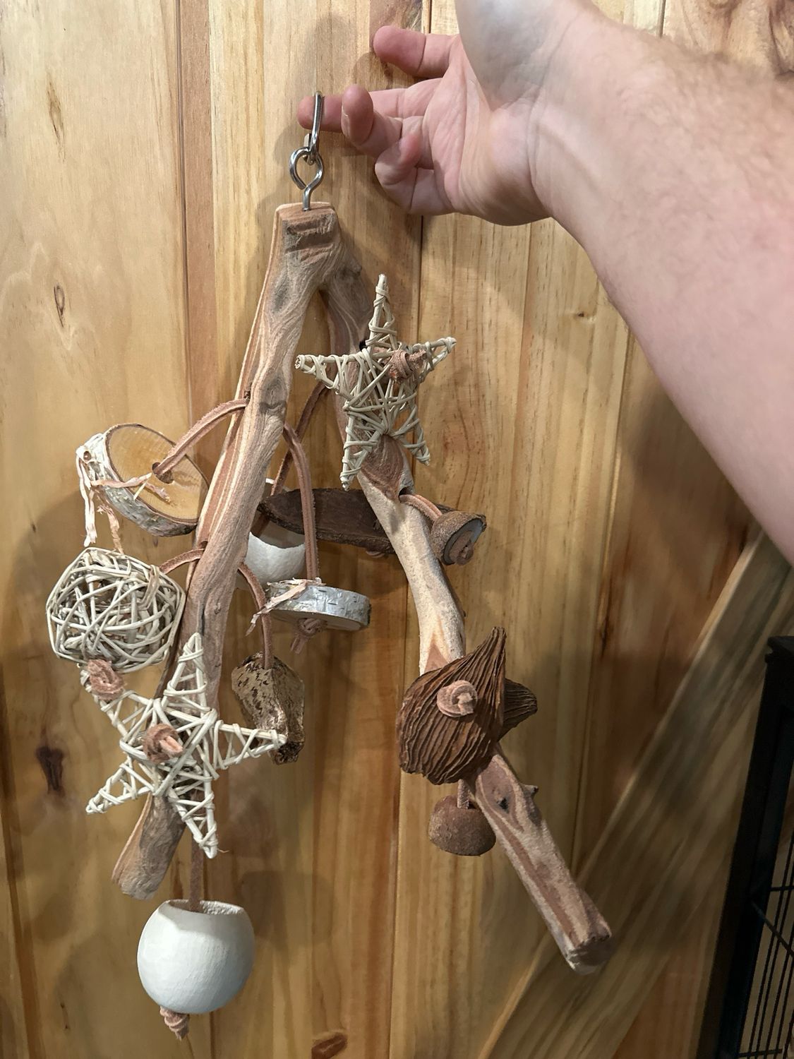 Go Wild! Foraging Limb