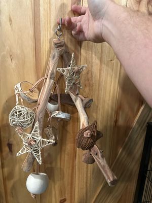 Go Wild! Foraging Limb