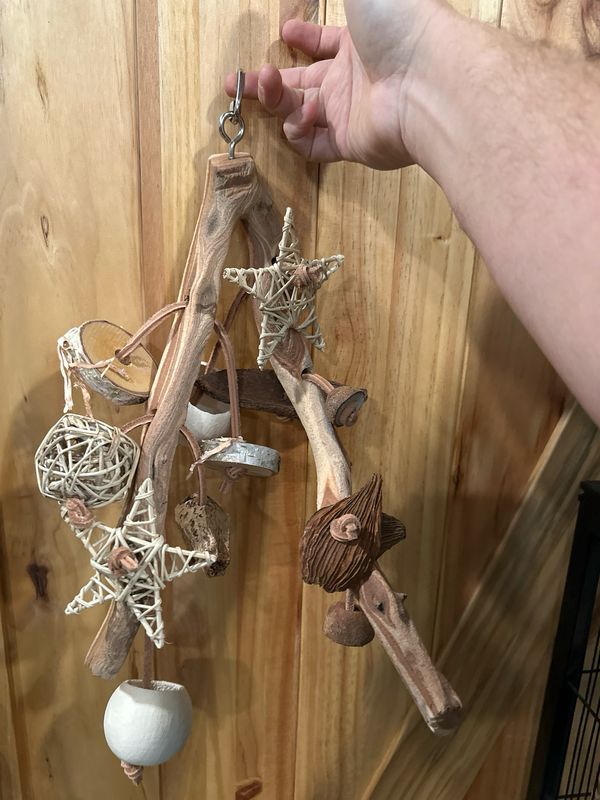 Go Wild! Foraging Limb