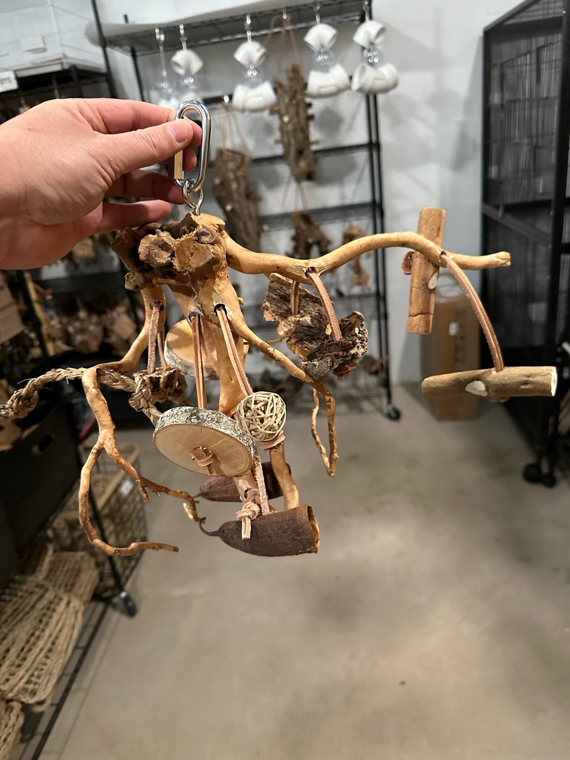 Go Wild! Foraging Limb