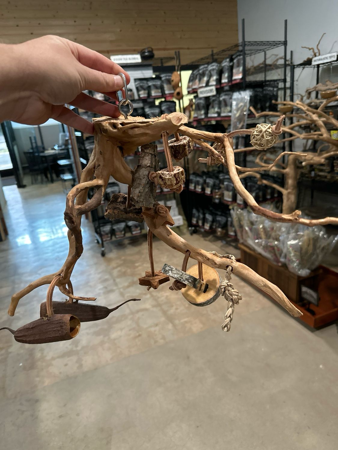 Go Wild! Foraging Limb