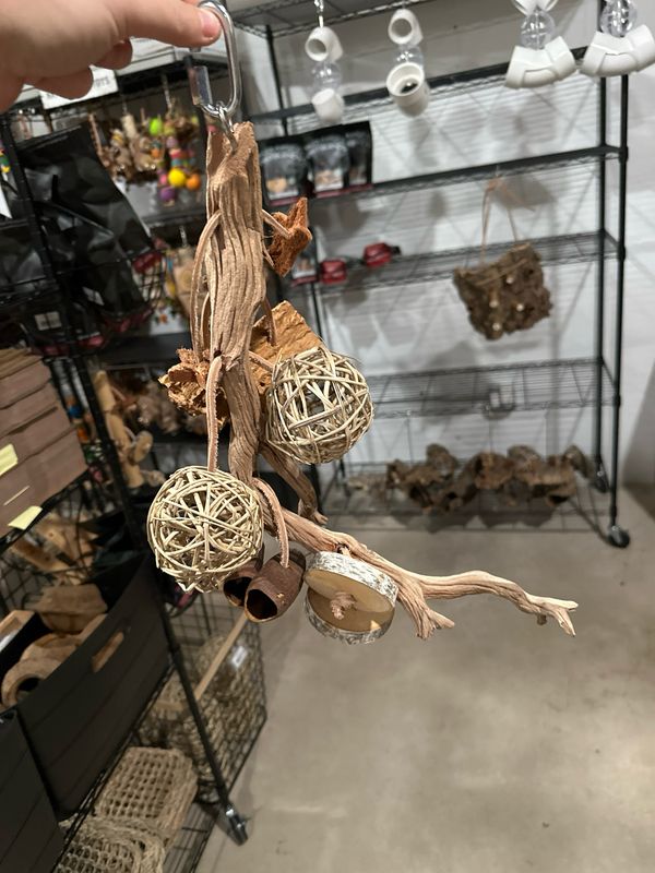 Go Wild! Foraging Limb