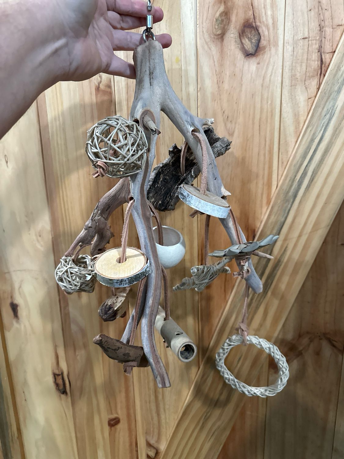 Go Wild! Foraging Limb