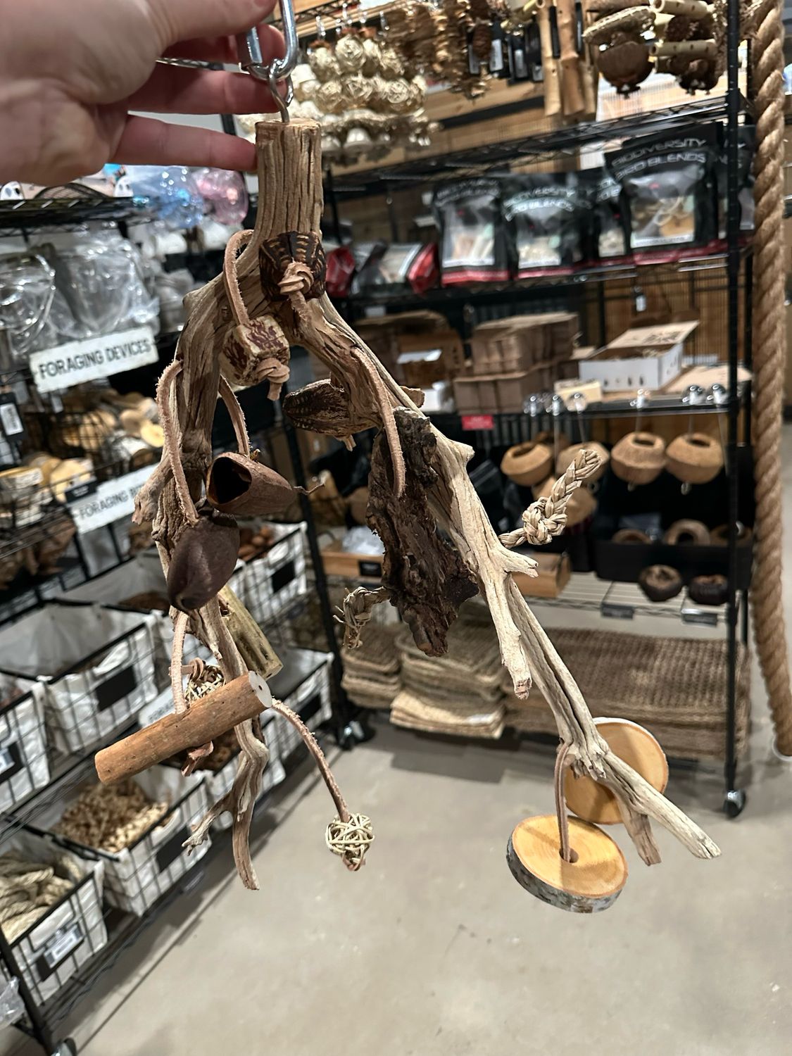 Go Wild! Foraging Limb