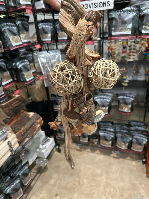 Go Wild! Foraging Limb