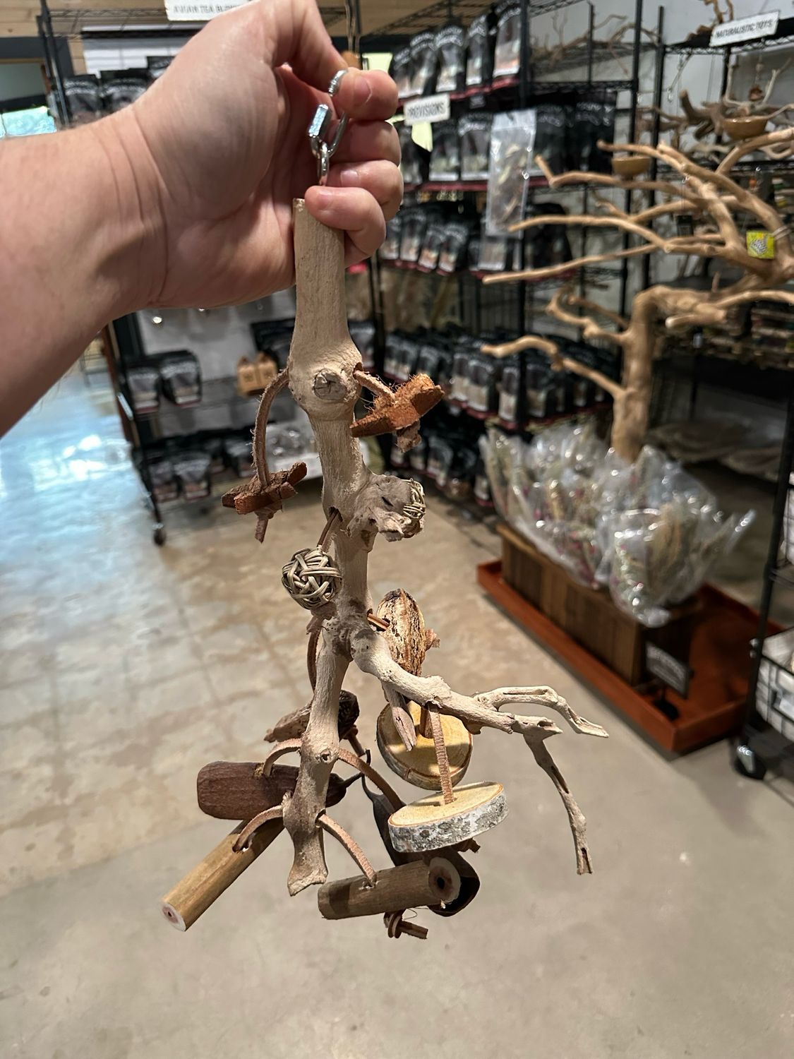 Go Wild! Foraging Limb