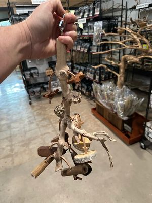 Go Wild! Foraging Limb