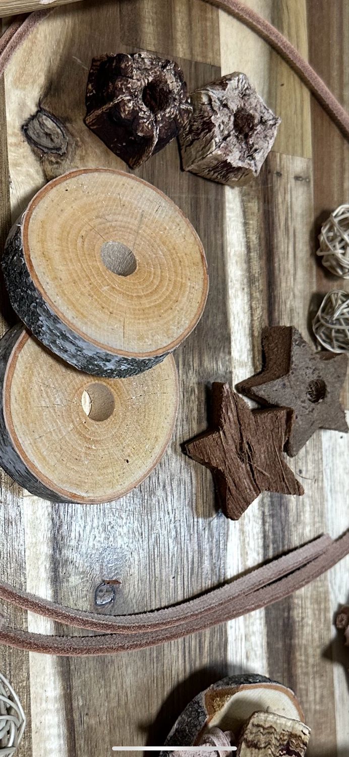 DIY Forest Foraging Finds / Foraging Limb Refill Kit