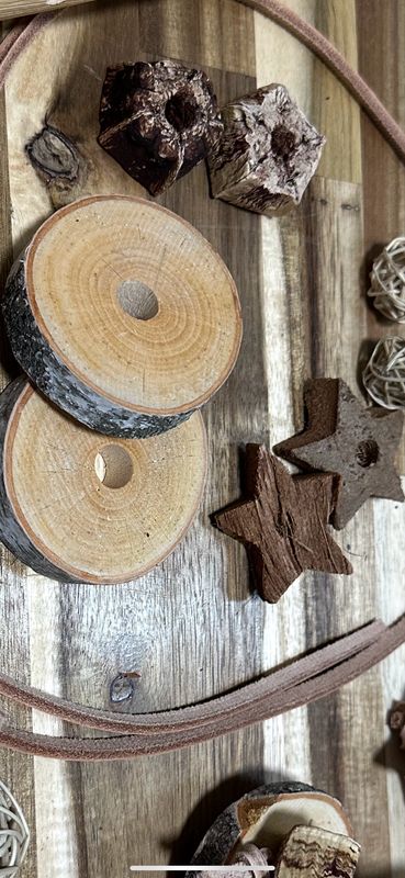 DIY Forest Foraging Finds / Foraging Limb Refill Kit