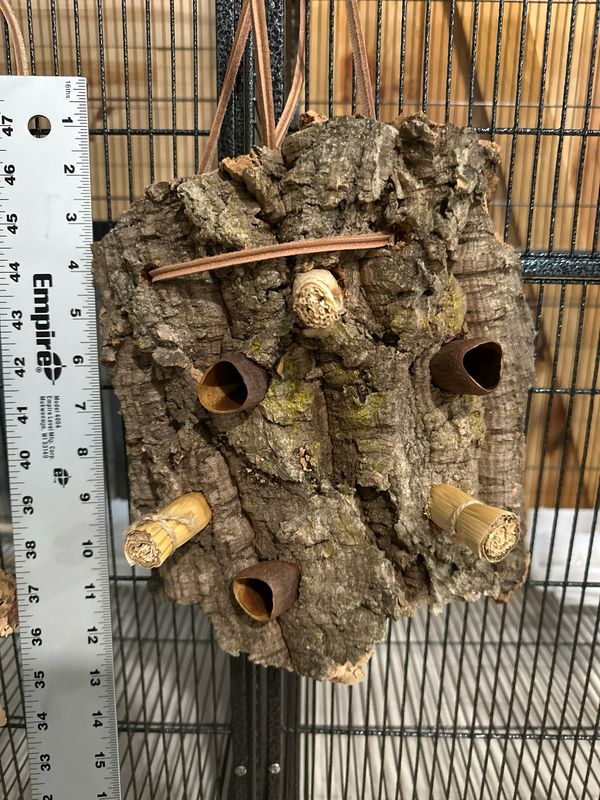 Chunky Corkwood Climbing Wall (Medium)