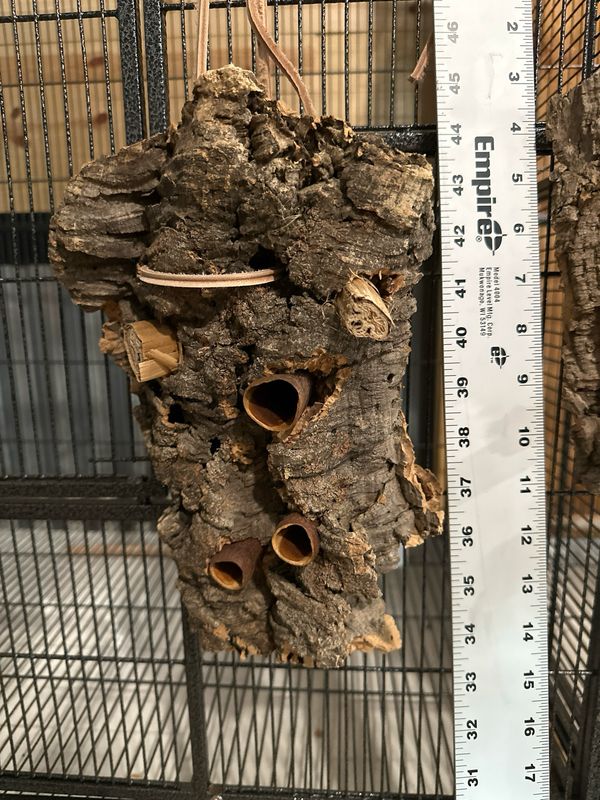 Chunky Corkwood Climbing Wall (Small)