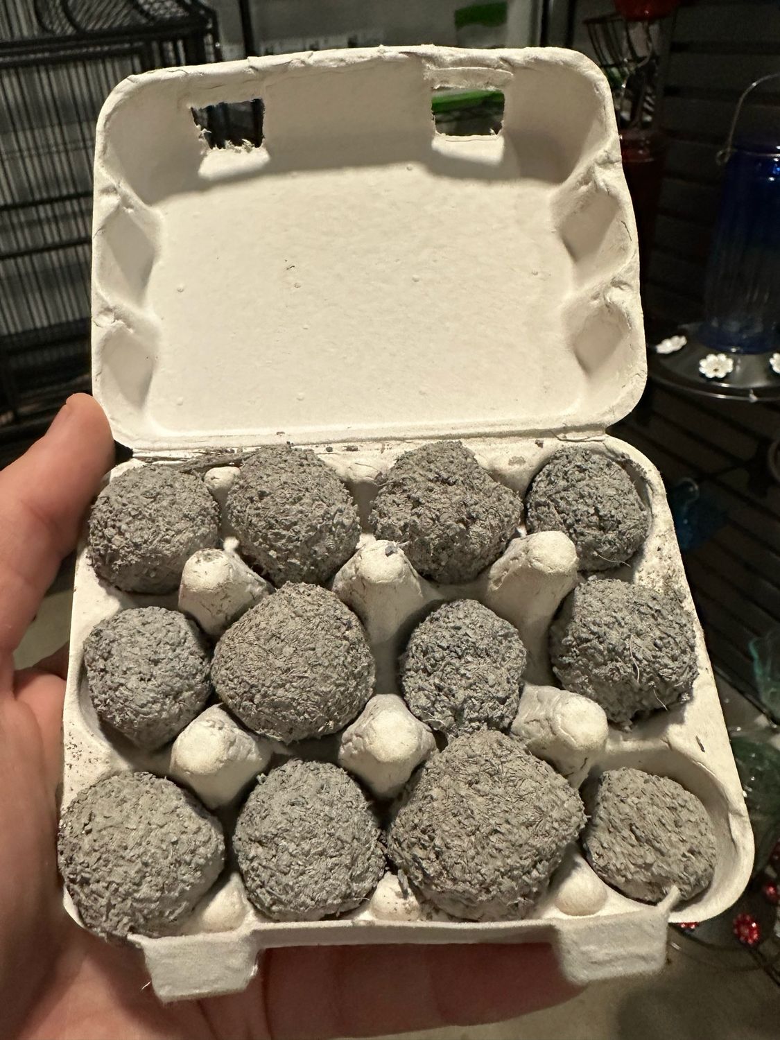 GEOBITES Geophagy Mineral Foraging Balls