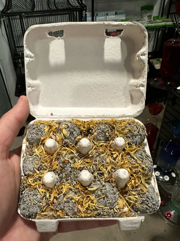 BLOOMIN’ GEOBITES Geophagy Mineral Foraging Balls