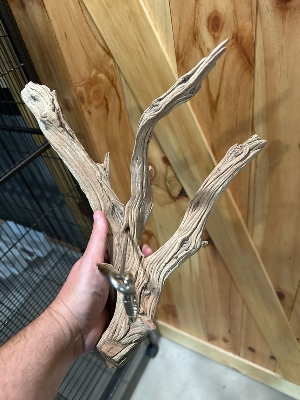 Swinging Sway Foraging Perch (Large)