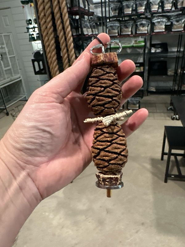 Starry Sequoia Surprise Tough Forager