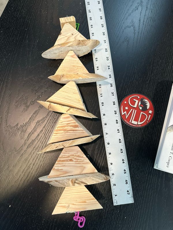 Large “Au Naturel” Pine Yucca Triangle On Chain 361