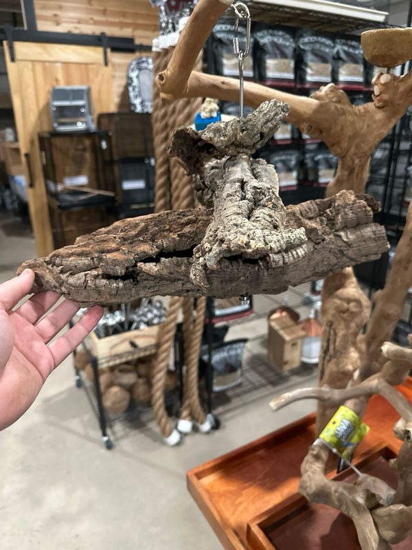 Corkwood Foraging Platform Perch