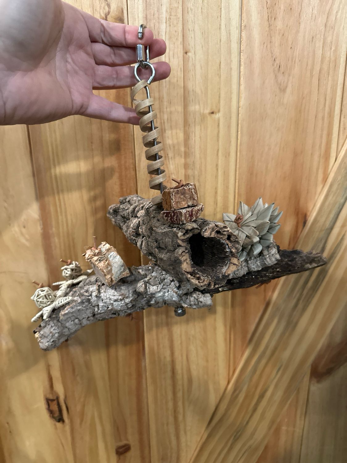 Corkwood Foraging Platform Perch Plus