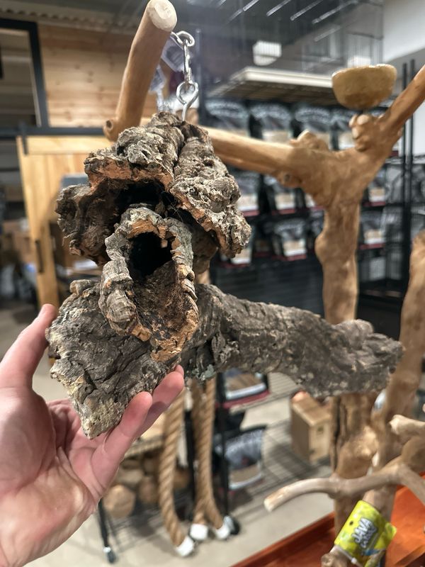 Corkwood Foraging Platform Perch