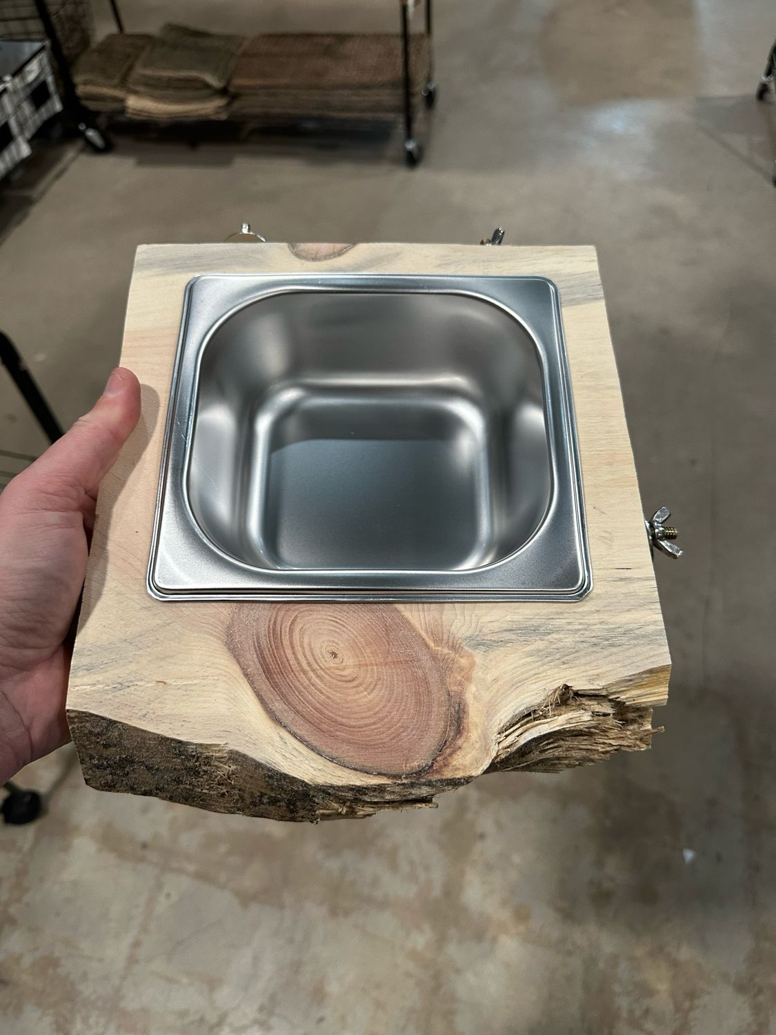 Biodiversity Foraging Cliff (Small Unfinished Premium Pine Wood)