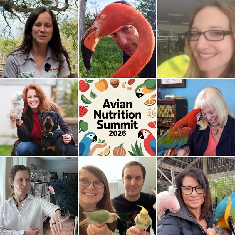 AVIAN NUTRITION SUMMIT 2026 AVIAN NUTRITION SUMMIT 2026