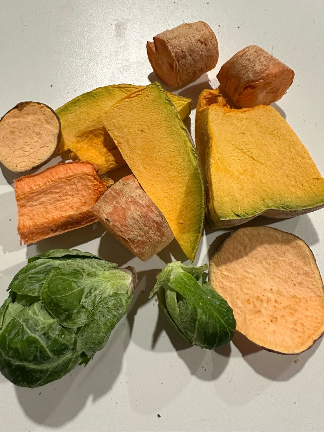 Biodiversity Bird Beta Blast Freeze-dried Blend