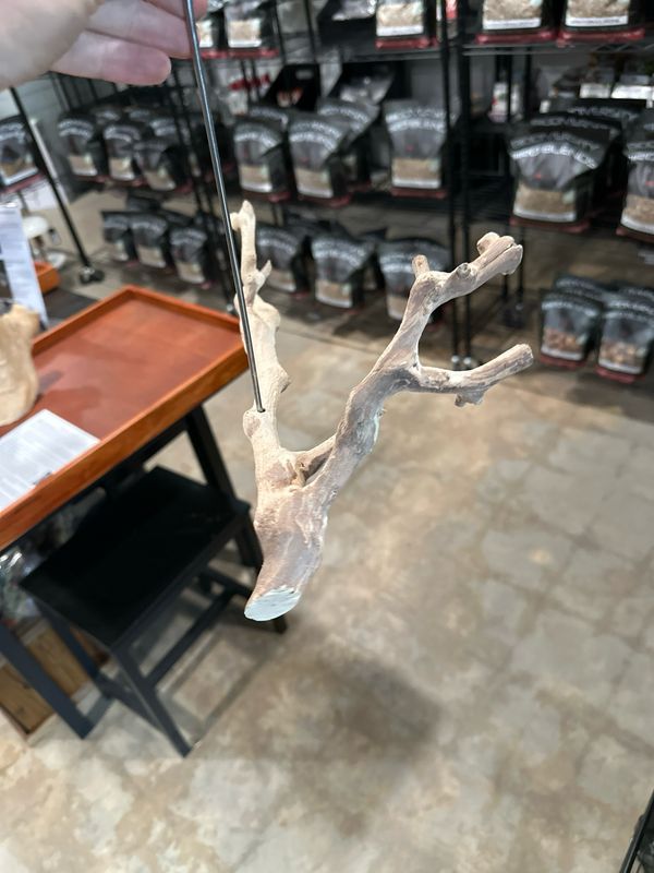 Swinging Sway Foraging Perch (Medium)
