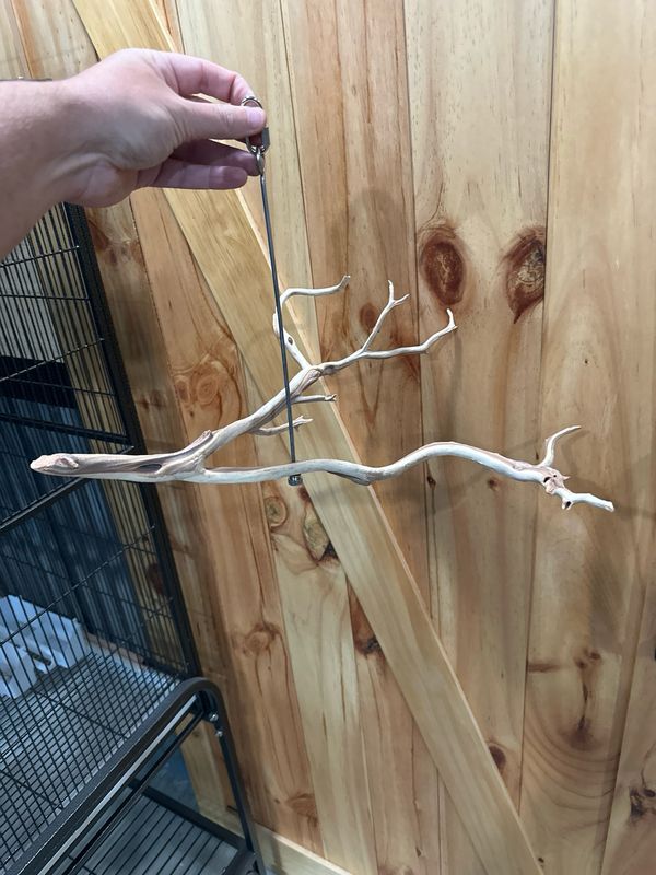 Swinging Sway Foraging Perch (Medium)