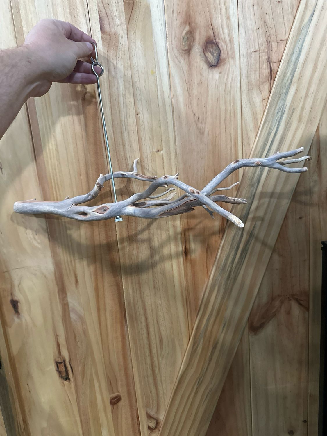 Swinging Sway Foraging Perch (Medium)