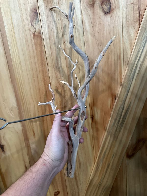 Swinging Sway Foraging Perch (Medium)