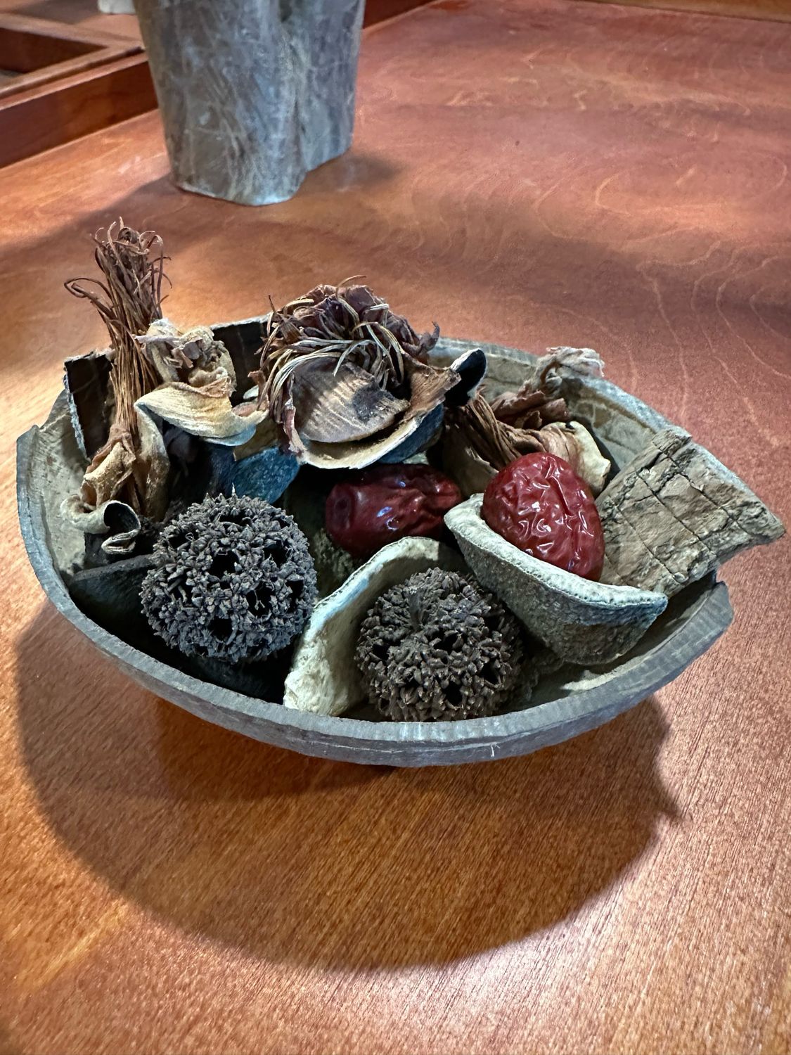 Biodiversity Exotic Foraging Fun Pack