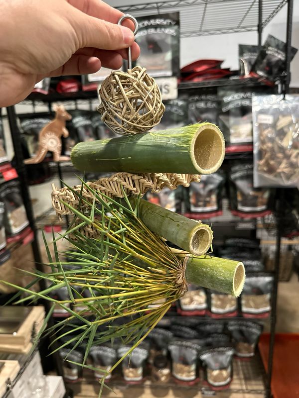Fresh Cut Bamboo Forest Forager