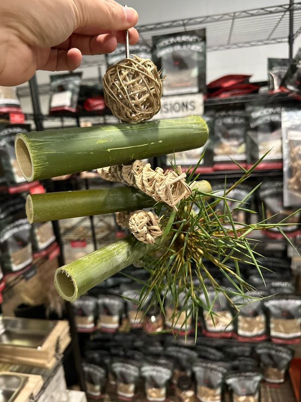Fresh Cut Bamboo Forest Forager