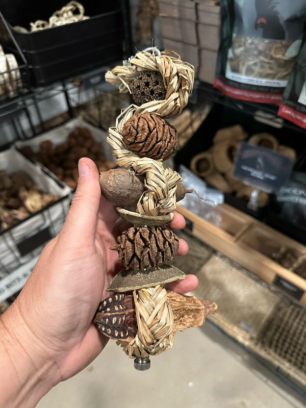 Forest Forager