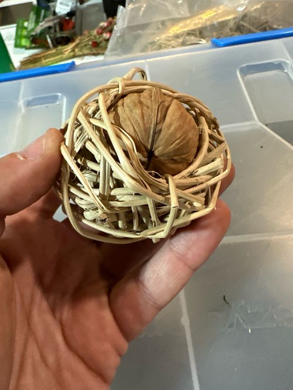 Triple Nutty Foragers
