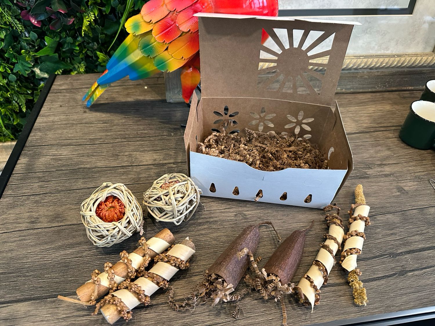 Ready-Set-Forage! Pack